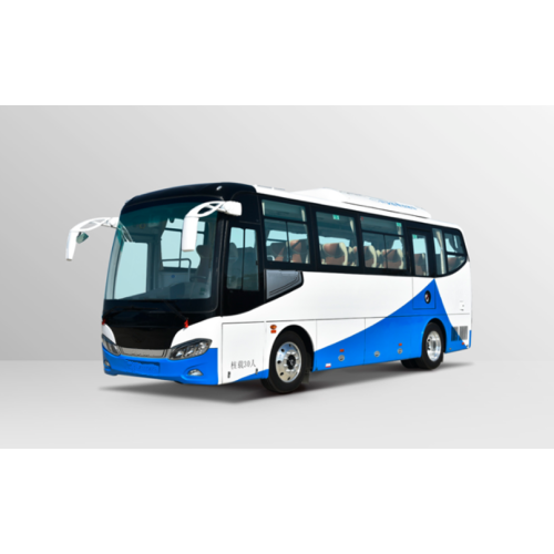 30 de locuri autobuz turistic electric